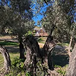 I Giardini Del Caramante Luxuszelt *