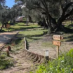 I Giardini Del Caramante Luxuszelt